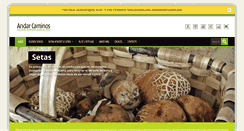 Desktop Screenshot of andarcaminos.com